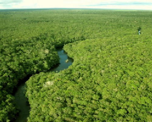 Ação do Governo do Amapá incentiva conservação ambiental e regularização fundiária em Tartarugalzinho